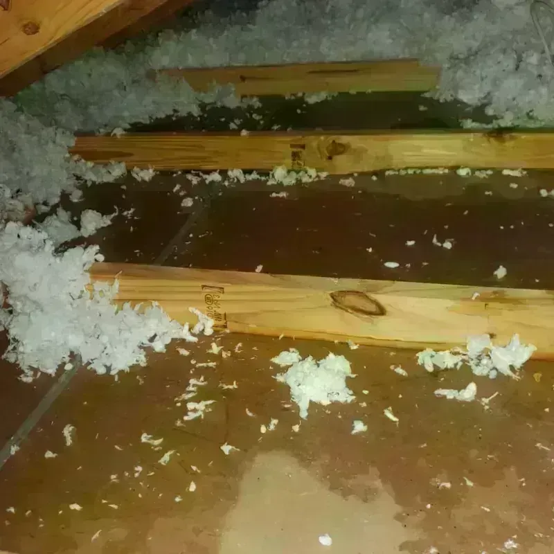 Attic Water Damage in Belgium, WI