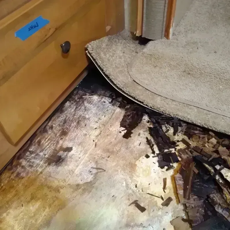 Wood Floor Water Damage in Belgium, WI